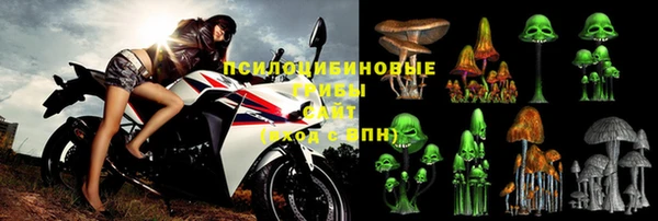 СК Новокубанск