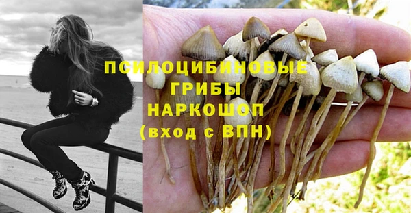 СК Новокубанск