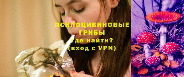 СК Новокубанск