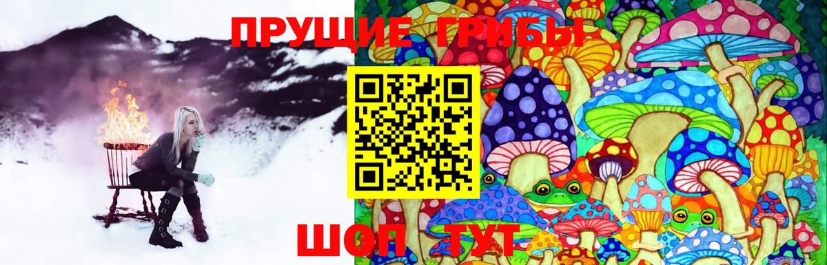 Галлюциногенные грибы Cubensis  Галлюциногенные грибы Magic Shrooms  Астрахань 