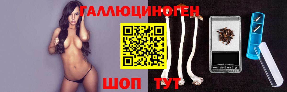 закладка  Галлюциногенные грибы Psilocybe  Астрахань  Вход с VPN  Псилоцибиновые грибы мухоморы 