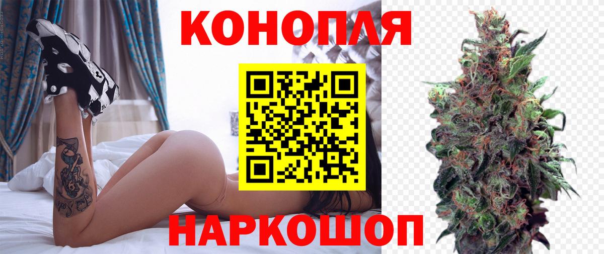 Конопля тримм  Канабис ГИДРОПОН  Астрахань  Бошки Шишки планчик  Вход с VPN 